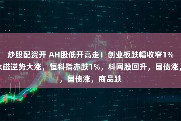 炒股配资开 AH股低开高走！创业板跌幅收窄1%，稀土永磁逆势大涨，恒科指亦跌1%，科网股回升，国债涨，商品跌