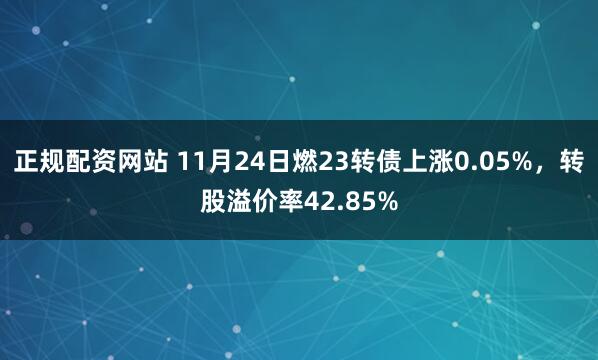 正规配资网站 11月24日燃23转债上涨0.05%，转股溢价率42.85%